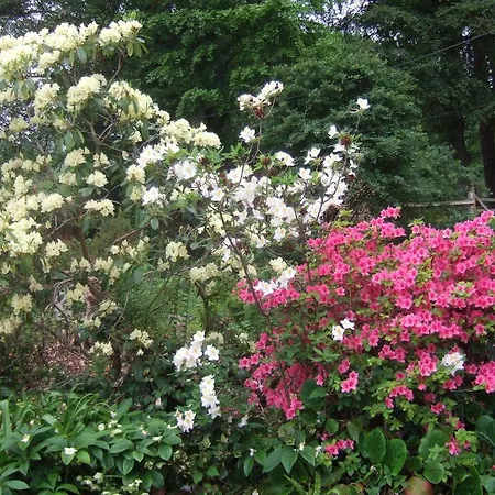 Howden House Bed And Breakfast-2